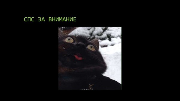 Конец презентации