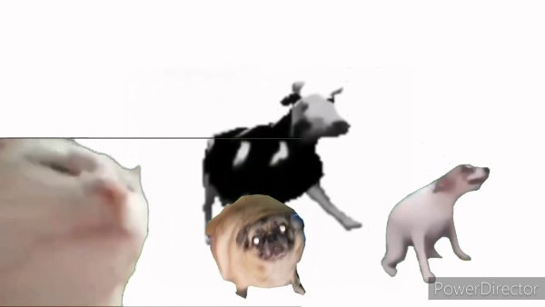 Танцующий пёсик Мопс