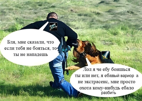 Приколы с собаками