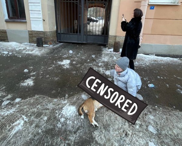 На собаку упала глыба льда