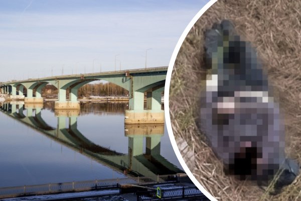 Мост в деревне