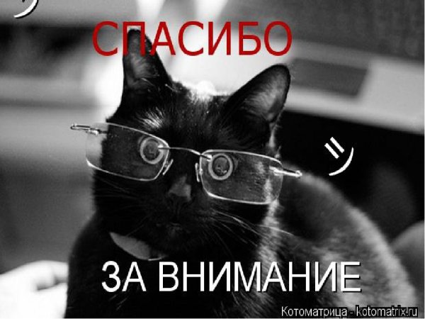Спасибо за внимание для презентации кот