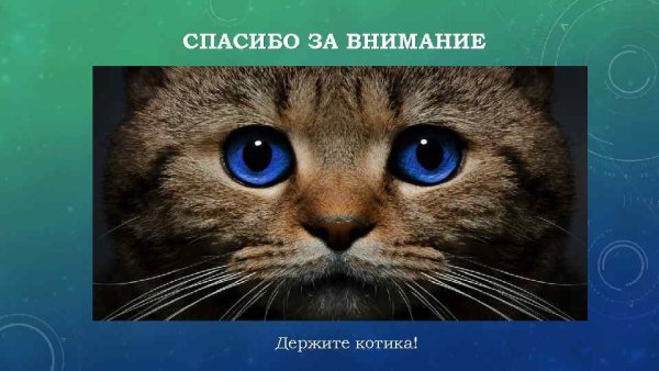 Благодарю за внимание котик
