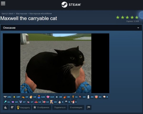 Maxwell Cat Spinning