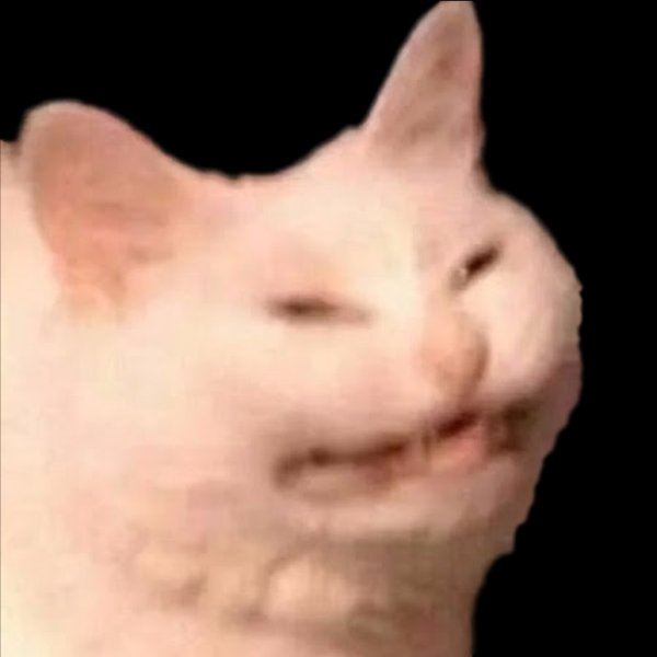 Упоротый белый кот