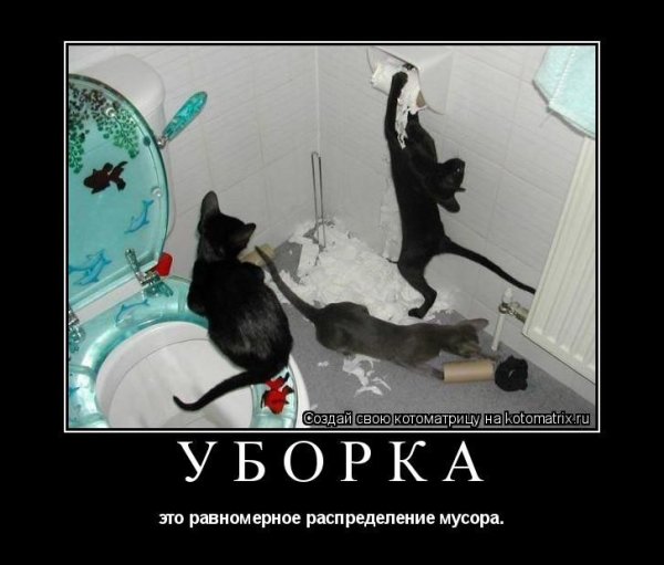 Шутки про уборку