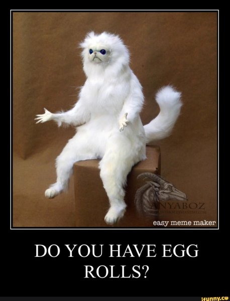 Кот с лапой Мем