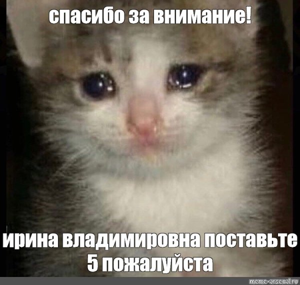 Спасибо за внимание котик