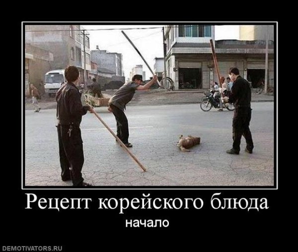 Приколы про корейцев