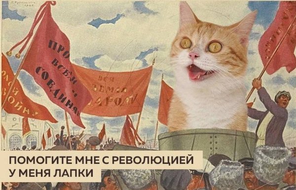 Советские коты