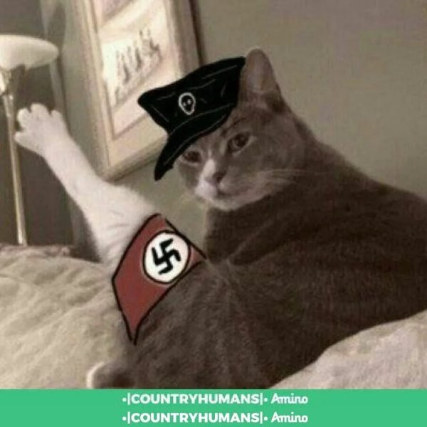 Коты фашисты