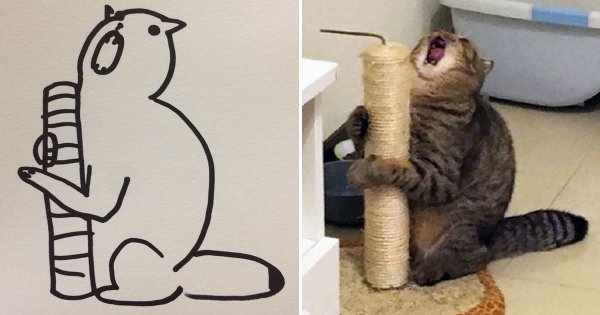 Кот с бумагами