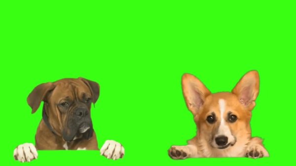 Футажи на зеленом фоне