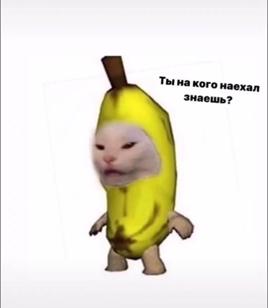 Кот банан Мем