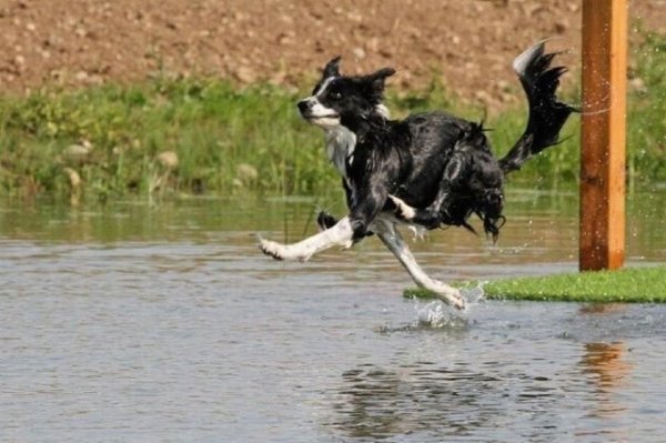 Бегу на работу