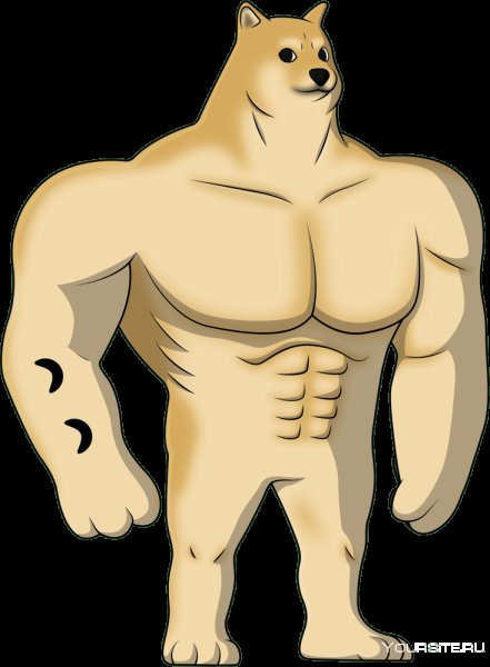 Накаченный доги