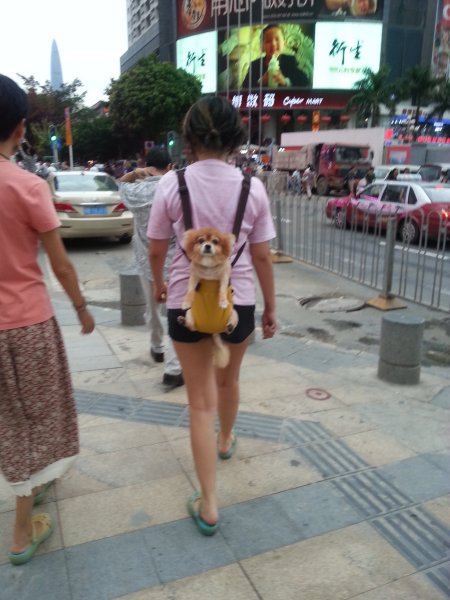 Приколы про корейцев