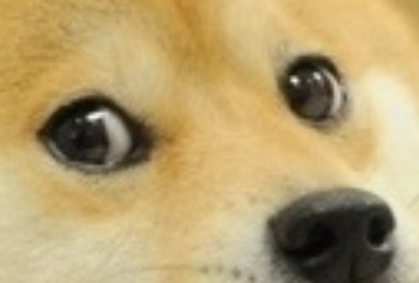 Грустная собака Мем