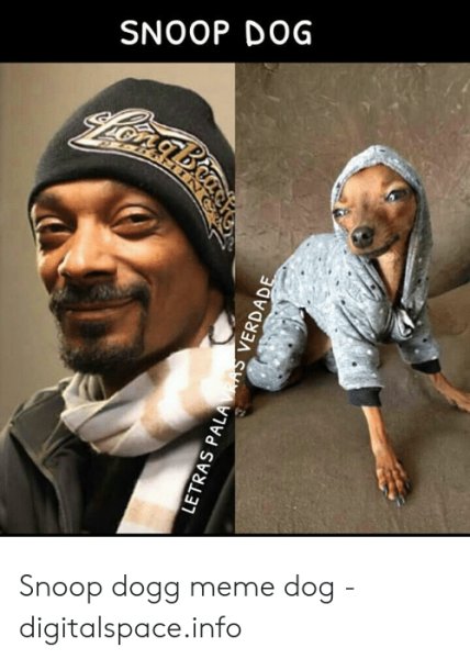 Собака снуп дог