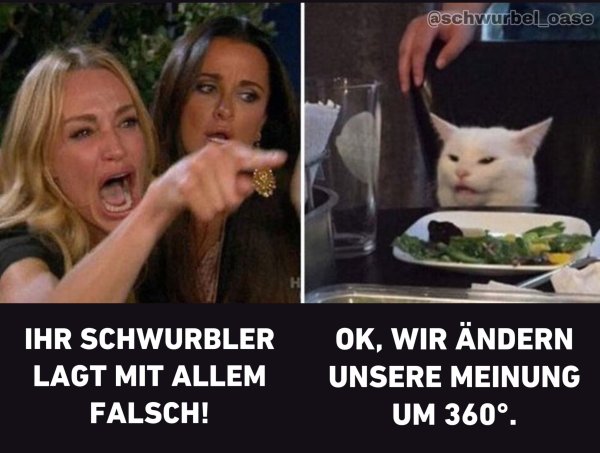 Мем кот и две девушки