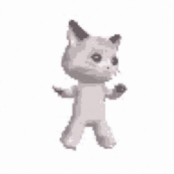 Котик танцует