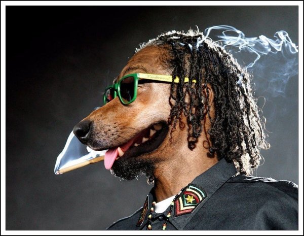 Снуп дог Доберман