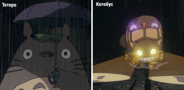 Котобус Хаяо Миядзаки