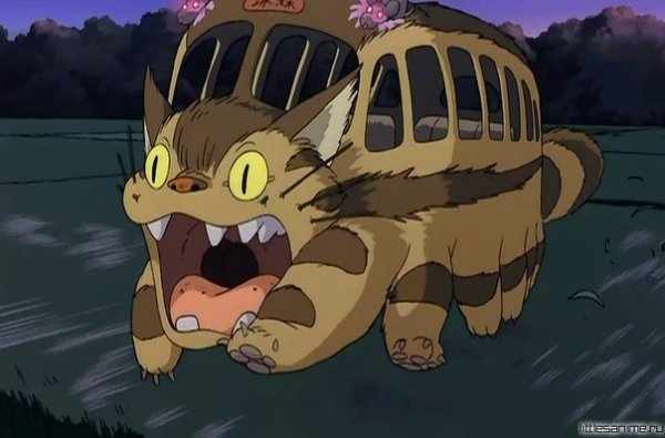 Аниме Тоторо Котобус