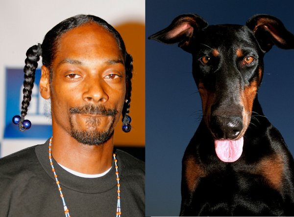 Snoop Dogg с доберманом