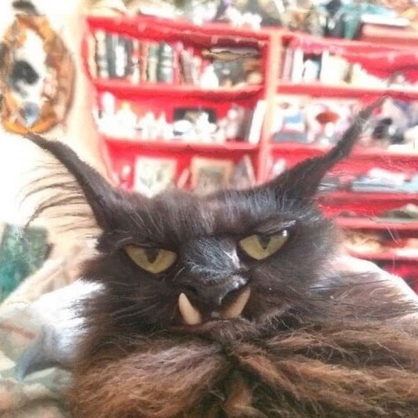 Лок тар Огар кот