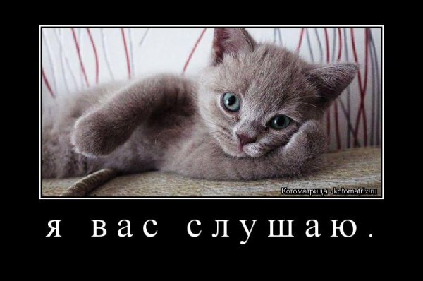 Я вас внимательно слушаю