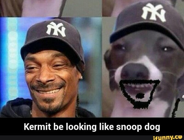 Левретка снуп дог