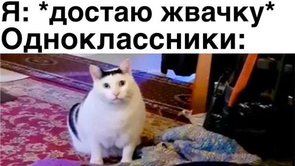 Vtvs c rjnfvb b[ NBR njrf