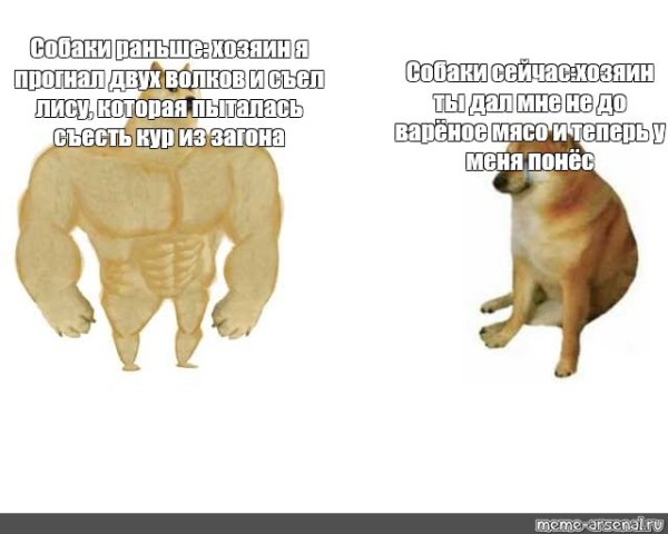 Собачка качок Мем