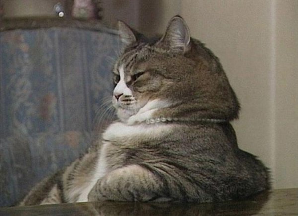 Продолжай я заинтригован