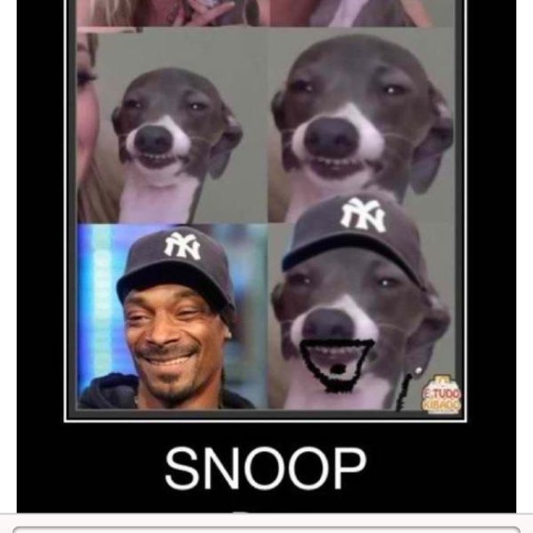 Кермит снуп дог