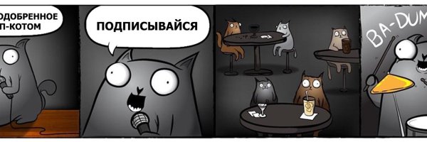 Кот Каламбур