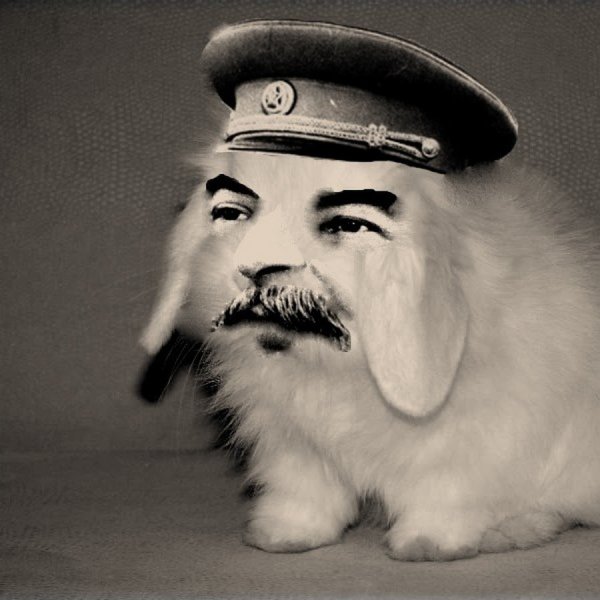 Иосиф Сталин Зайка