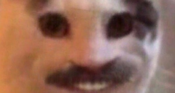 Усатый кот Мем