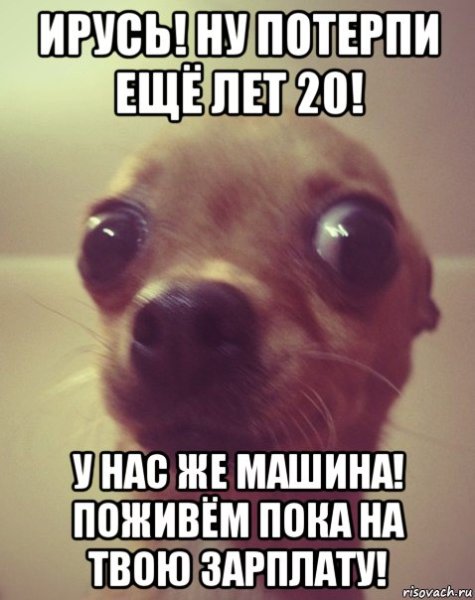 Аргументный аргумент Мем