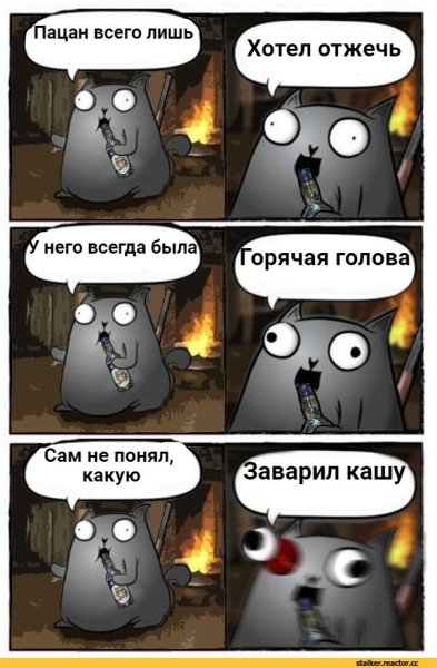 Кот стендапер Мем