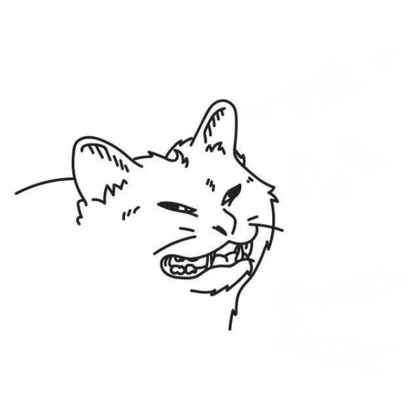 Кот Мем рисунок