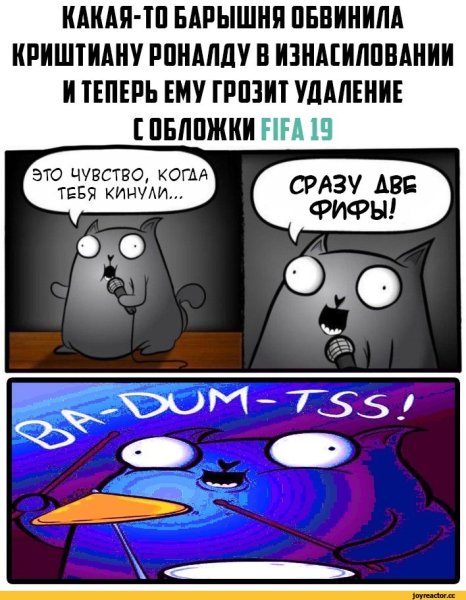 Стендап кот