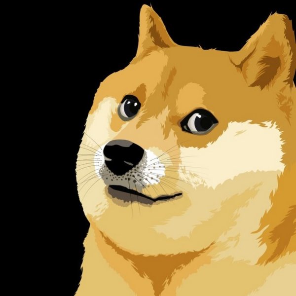 Сиба-ину Dogecoin