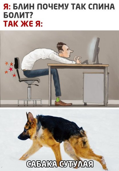 Мемы про спину