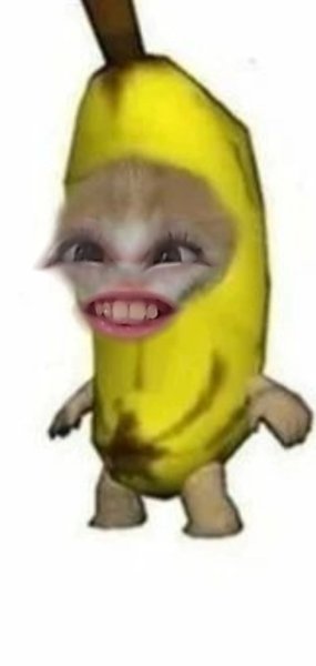 Кот банан Мем