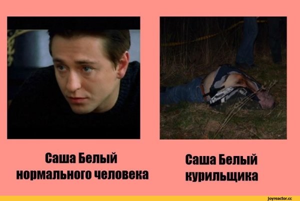 Саша белый бригада