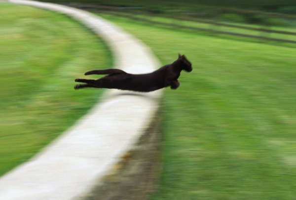 ЕКОТИК ежит