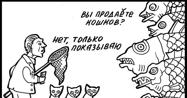 Коты мемы про рыбу