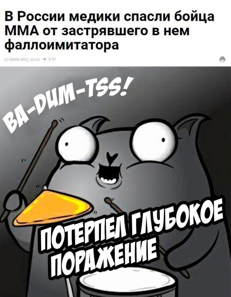 Кот стендапер шутки